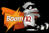 Логотип Центр развития и подготовки детей BoomIQ