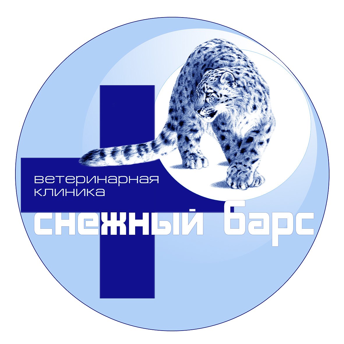 Ирбис центр. Ирбис аналитика. Колесниково ирбис. Снежный барс в горах. Центр снежные барсы.