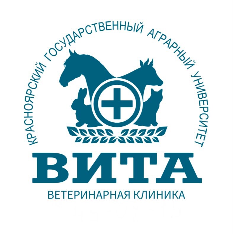 Vitavet логотип. Vitae. Vitavet логотип. Витамины junior. Логотип зоомагазина мистер гав.