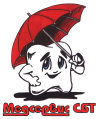 Логотип Медсервис СБТ