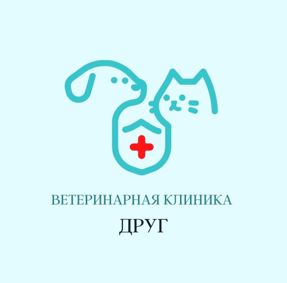 Ветклиника дружба королев. Конфликт в ветклинике. Адрес ветеринарной клиники москва. Ветклиника дружба королев. Центр травматологии животных москва.