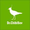 Логотип Dr. Chibisov