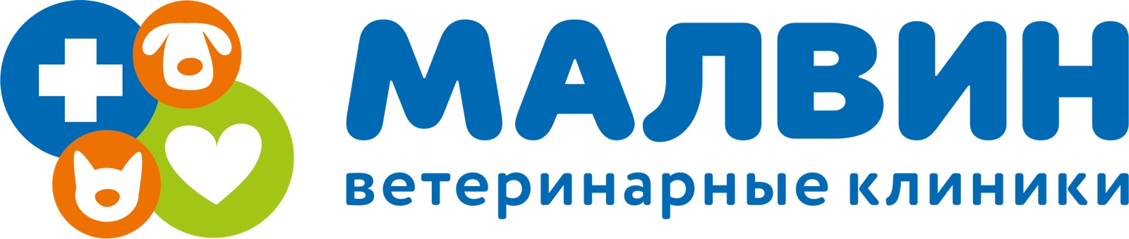 Малвин на постышева иваново. Центр ветеринарии. Малвин иваново. Малвин иваново фото. Клиники «малвин (айболит)».