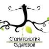 Логотип Клиника Сударевой