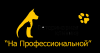 Логотип На Профессиональной