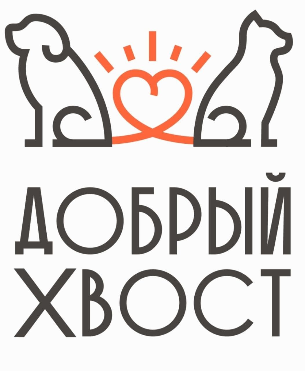 Добрый хвост орехово. Добрый хвост новопетровская. Персона печерская 26 нижний новгород. Добрый хвост новопетровская ул. Добрый хвост ветклиника.