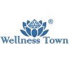 Логотип Wellness Town