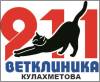 Логотип 911