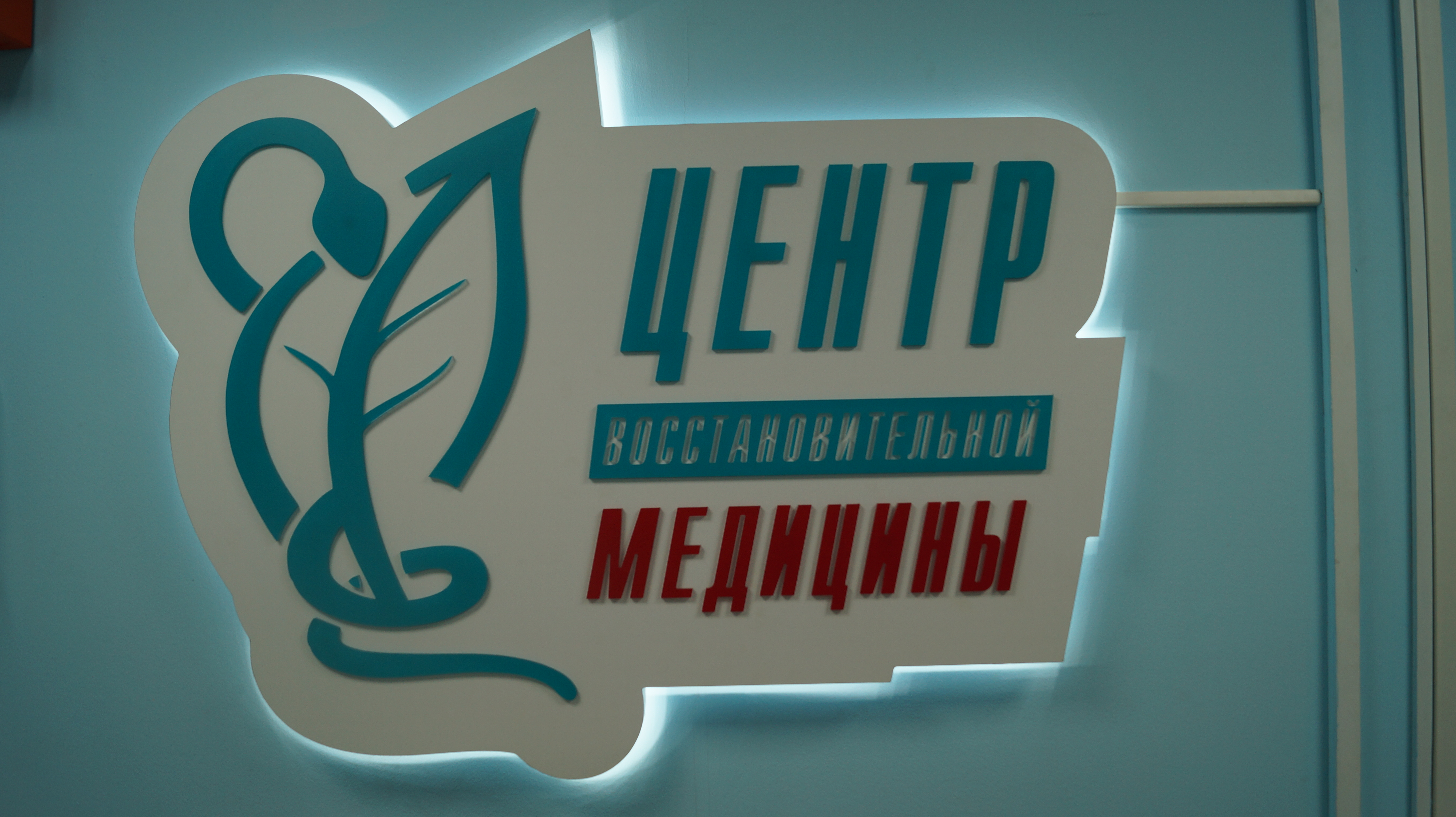 Нарколог ярославль запись. Центр восстановительной медицины ярославль. пенаты, ярославль логотип.