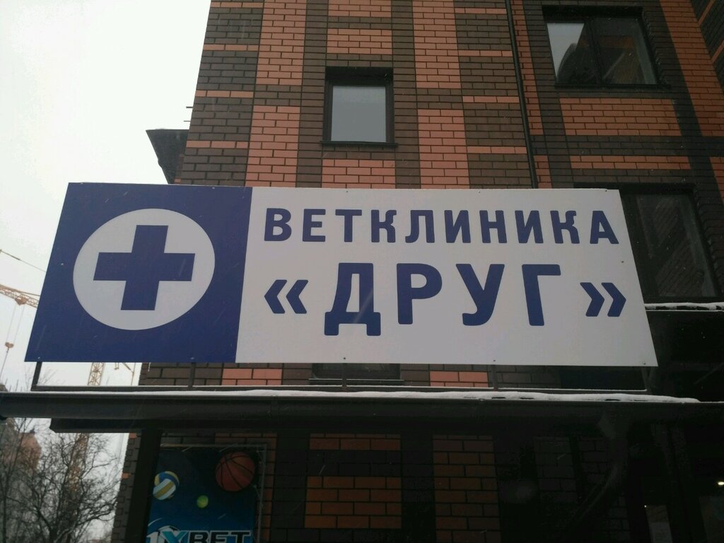 Друг - запись к врачу в ветеринарную клинику по адресу Калуга, Тульская  улица, 38, этаж цокольный