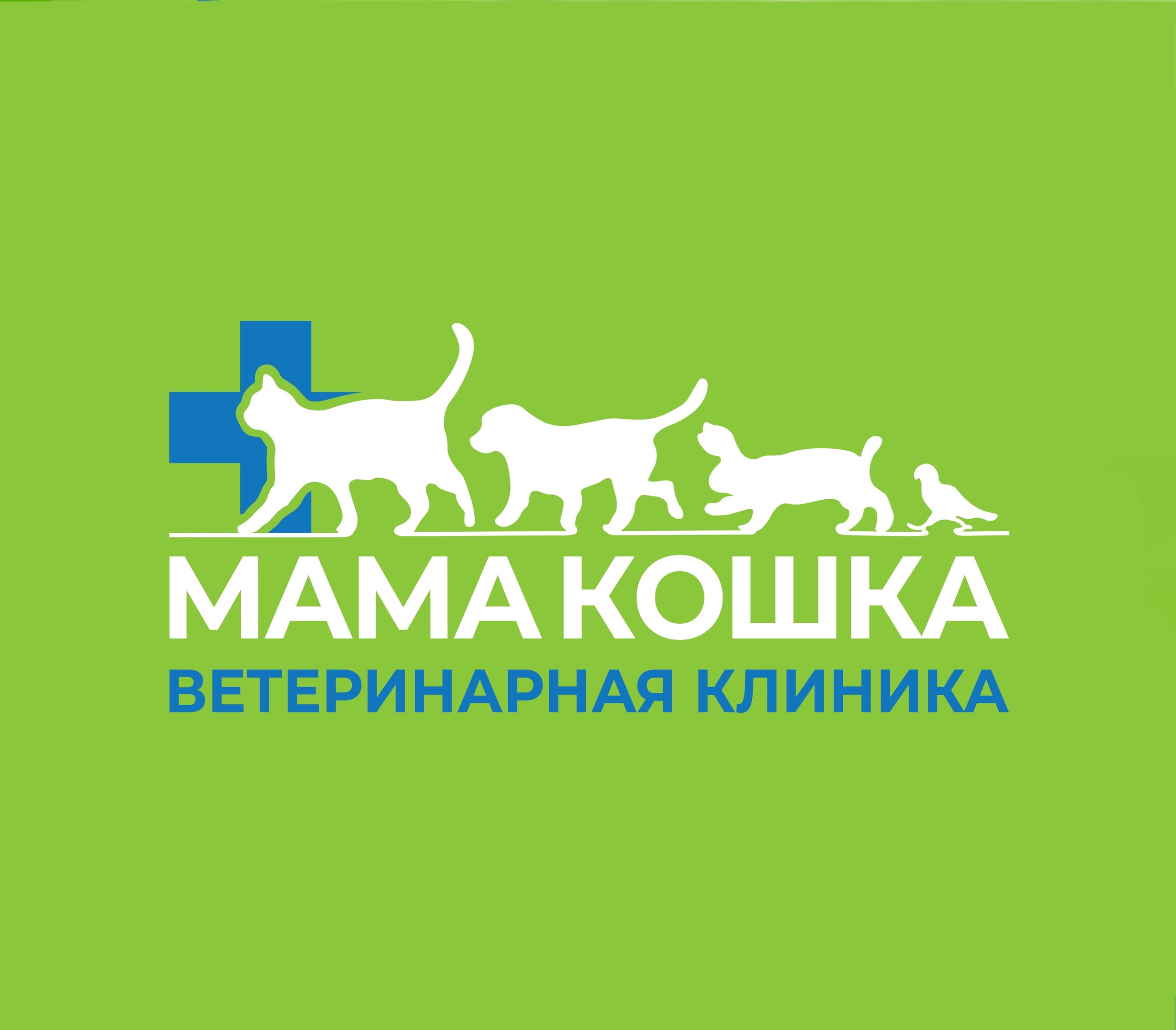 Мама Кошка - запись к врачу в ветеринарную клинику по адресу Республика  Башкортостан, Салават, улица Строителей, 15Г