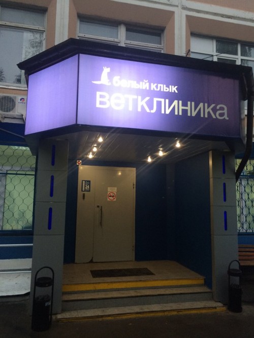 Ветклиника клык