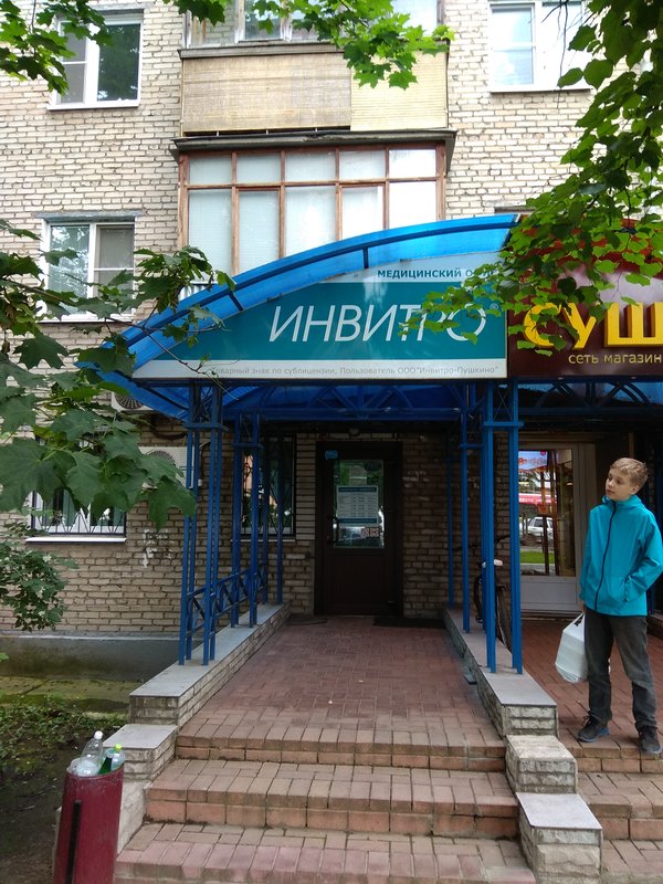 Прогноз в пушкино на 14