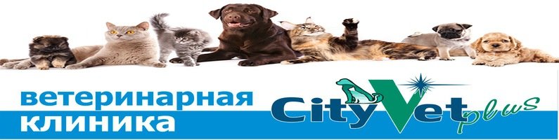 Ветеринарная клиника фауна Тверь. Тверь гор вет клиника. CITYVETPLUS Тверь. Ветеринарная клиника фауна Тверь аптека.