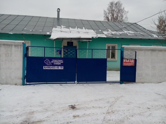 набережная 1 орехово-зуево. здоровый любимец, орехово-зуево. ветеринарные клиники в орехово зуеве. здоровый любимец, орехово-зуево. ветеринарные клиники в орехово зуеве.